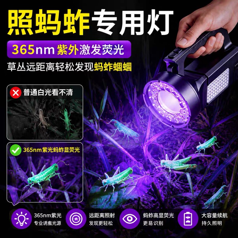Special Lamp for Illuminating Grasshoppers, Lamp for Illuminating Scorpions, 365Nm Purple Light Portable Lamp, Rechargeable Long-Lasting Lighting Flashlight