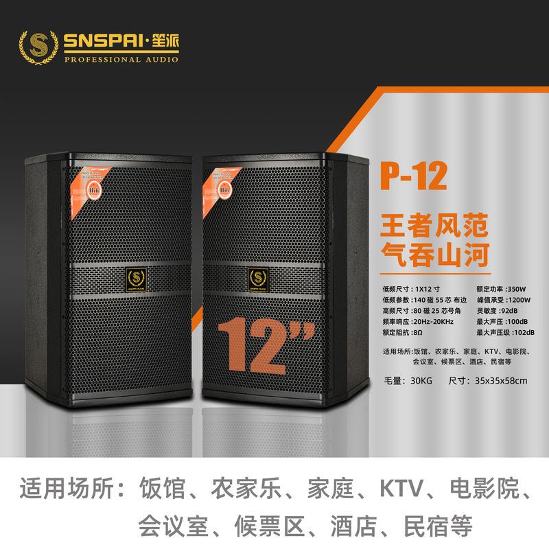 Snspai Shengpai True Three-Way Home Ktv Audio System Professional High-Power Stage Audio Bar Performance Speakers