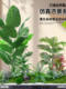 Simulated Green Plant Potted Plant Landscaping Indoor Bonsai Restaurant Scene Decoration Window Landscape Artificial Tree under Stairs