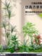 Simulated Green Plant Potted Plant Landscaping Indoor Bonsai Restaurant Scene Decoration Window Landscape Artificial Tree under Stairs
