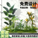 Simulated Green Plant Landscaping Indoor Landscape Combination Balcony Courtyard Large Window Decoration Artificial Plant Tree Arrangement