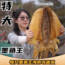 Hainan Island salt-free light-drying extra large cuttlefish dry weight sun-dried South China Sea cuttlefish king weighs two to three kilograms.