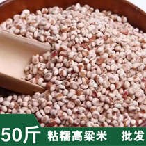 Sorghum rice farmers grow 50 pounds of self-grown glutinous sorghum rice to make wine and make rice cakes to wrap rice dumplings and grains for commercial use