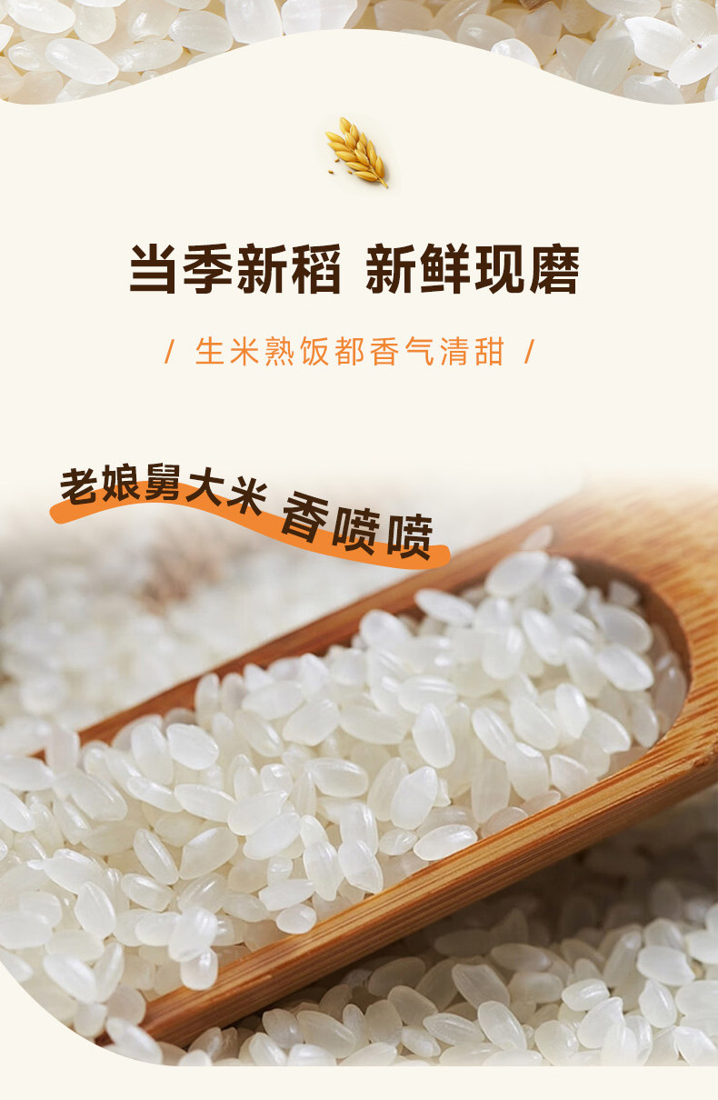 安享好物 安享E级粳米-老娘舅香稻米 国标 