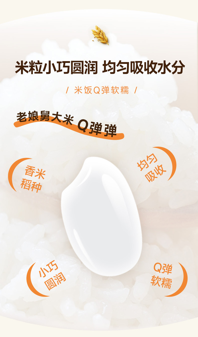 安享好物 安享E级粳米-老娘舅香稻米 国标 