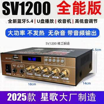 Sv1200 Mini Small Bluetooth Amplifier 12V220V Dual-Use Ac/Dc Amplifier with Audio Output in Chinese