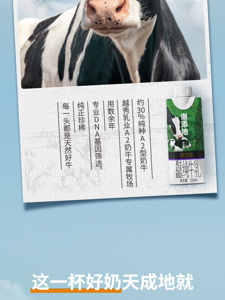 安享好物 安享B级纯奶-辉山谢添地 A2纯牛奶 国标 