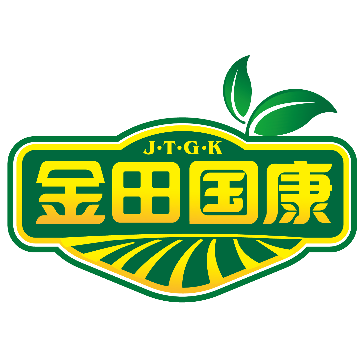 金田国康旗舰店的LOGO