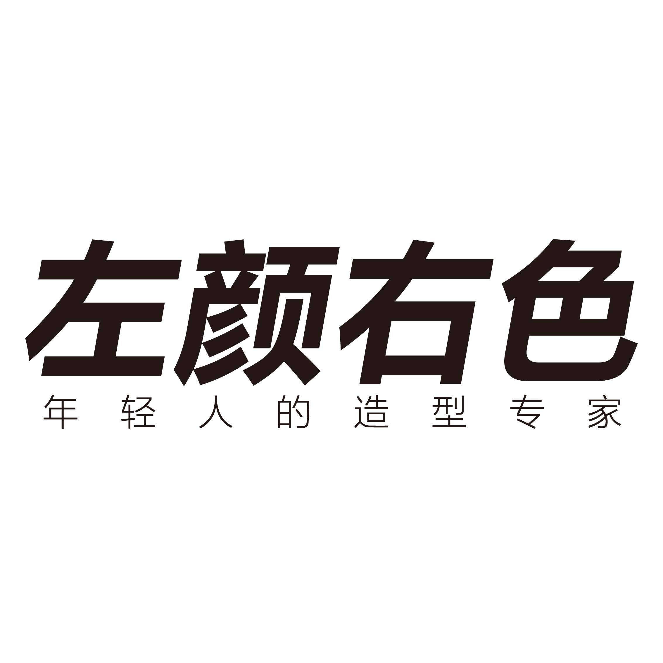 左颜右色电器企业店