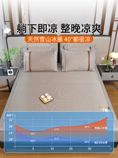夏天冰丝藤席凉席床笠床笠罩床垫保护罩冬夏天季两用床罩全包防尘