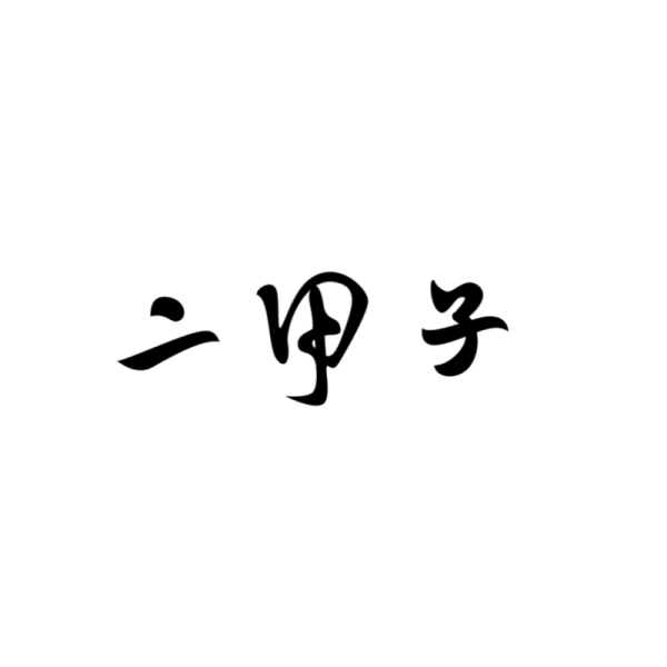 二甲子旗舰店的LOGO