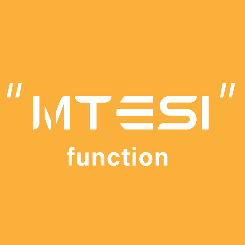 MTESI旗舰店的LOGO
