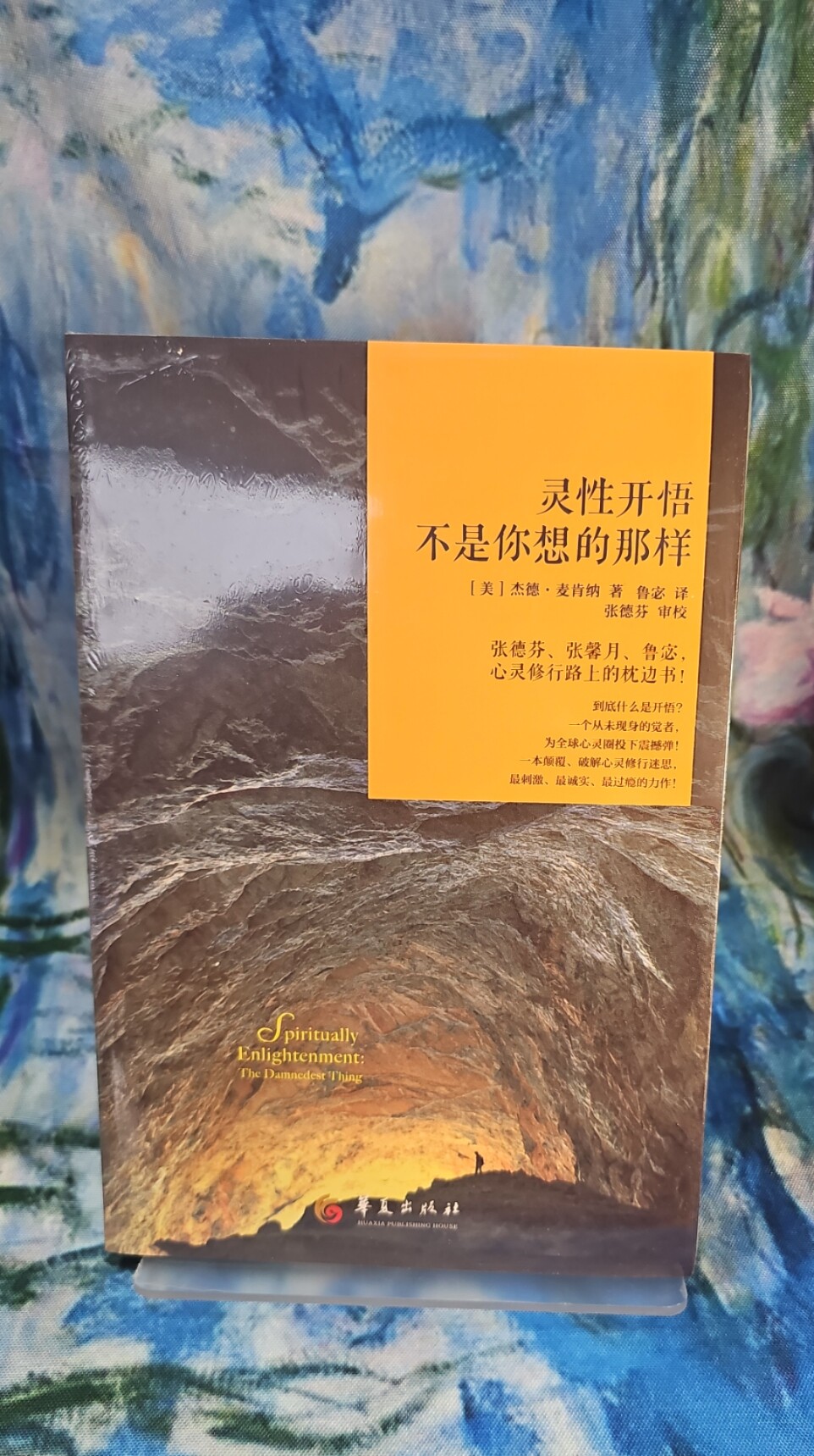 灵性开悟不是你想的那样》：一本让你灵魂觉醒的神秘读物📚✨-心灵与修养-淘宝好物网