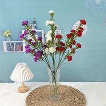 单支康乃馨居家客厅摆设酒店婚庆路引插花摄影道具