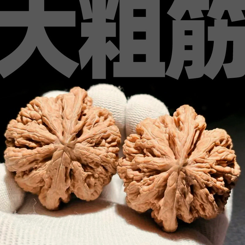 山中玉大粗筋核桃：👑天然珍品，男士收藏級文玩新寵！💪