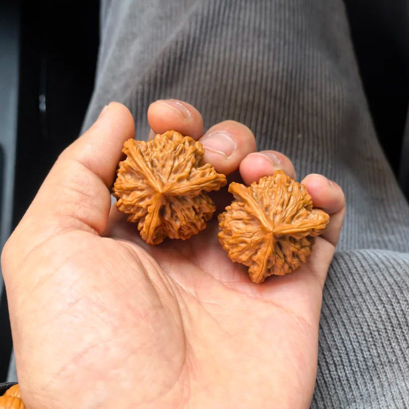 25年必買！三棱文玩核桃盤山正奔菱｜收藏級異形手把件男款天然野生