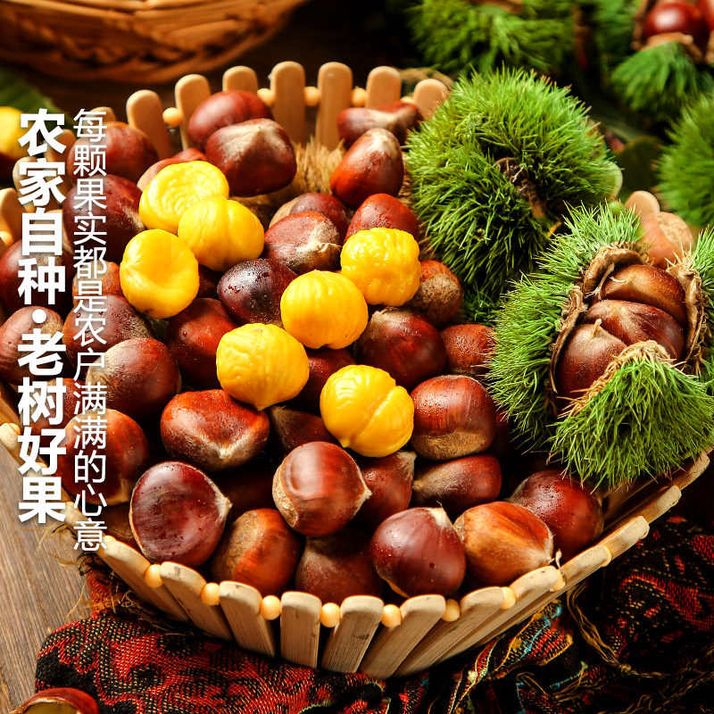 新鲜板栗5斤来袭!云南生板栗,红壳毛栗子,应季水果蔬菜,现摘现发货,尝鲜不等人!🌰🍃-新鲜板栗-淘宝百科网