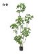 Artificial Duckbill Plant Greenery Large Floor-Standing Potted Plant for Living Room High-End Luxury Faux Plant Decoration Next to Sofa