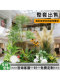 Simulated Green Plant Combinations for Indoor Landscaping, Decoration under Stairs, Mall Decoration, Artificial Plant Landscaping, Potted Ornaments