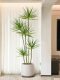 Light Luxury Artificial Green Plants, Fake Plants, Artificial Flowers, Millennium Wood Indoor Potted Plants, Dragon Blood Tree, Living Room Decorative Ornaments, Floor-Standing