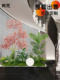 Simulated Plant Landscaping Indoor Large-Scale Artificial Green Plant Landscape Display Window Staircase Entrance Decoration Floor-Standing Combination Ornaments