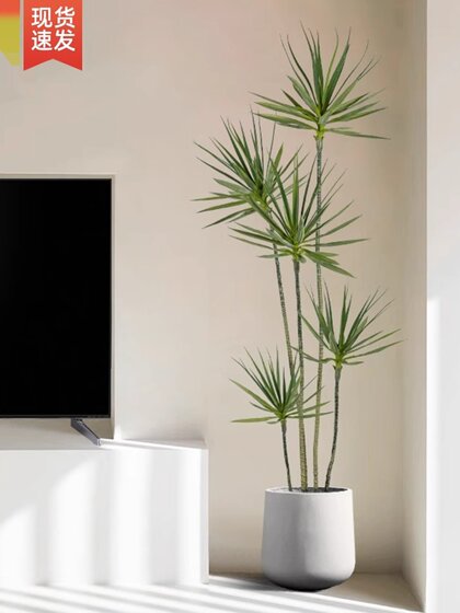Light Luxury Artificial Green Plants, Fake Plants, Artificial Flowers, Millennium Wood Indoor Potted Plants, Dragon Blood Tree, Living Room Decorative Ornaments, Floor-Standing