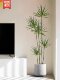 Light Luxury Artificial Green Plants, Fake Plants, Artificial Flowers, Millennium Wood Indoor Potted Plants, Dragon Blood Tree, Living Room Decorative Ornaments, Floor-Standing