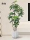 Artificial Green Plant Money Tree Decoration, High-End Luxury Indoor Fake Potted Plant, Large Floor-Standing Tree for Living Room, Simulated Plant