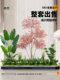 Simulated Plant Landscaping Combination Indoor Shopping Mall Fake Green Plant Combination under Stairs Landscape Window Decoration Shop Decoration