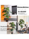 Monstera Artificial Green Plant High-End Light Luxury Living Room Office Bionic Plant Potted Floor-Standing Ornament Decorative Fake Tree