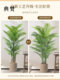 Simulated green plant loose tail sunflower high-end light luxury style fake tree indoor living room floor decoration landscaping bionic green plant potted plant