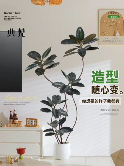 Artificial Green Plant Landscaping Rubber Tree, High-End Luxury Living Room Tv Cabinet Floor Decoration, Indoor Black Diamond Plant