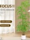 Simulated Green Plant Nandina Bamboo Floor-Standing Potted Plant Living Room Decoration Indoor Artificial Plant High-Quality Bonsai Decoration Artificial Tree