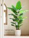 Bird of Paradise Artificial Plant Fake Flower Decoration Indoor Living Room Decoration Ornaments High-End Artificial Flowers