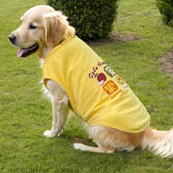 Dog Clothes for Spring and Autumn, Thin, Anti-Shedding, Breathable Vest for Large and Medium-Sized Dogs, Golden Retriever, Labrador, Samoyed, Border Collie