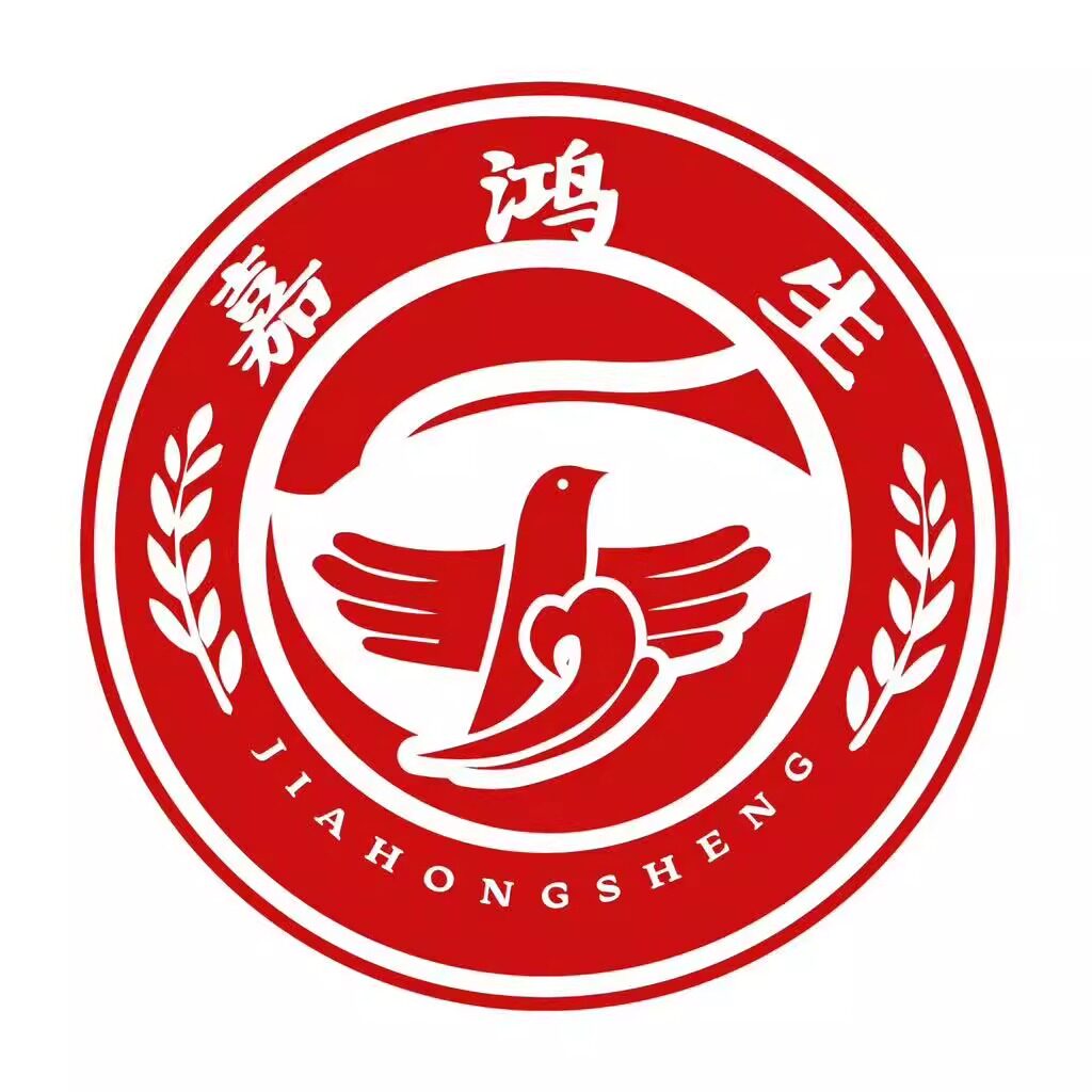 鸿选医疗器械店的LOGO
