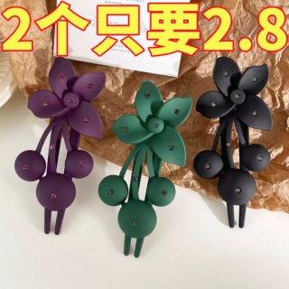 High-end hairpins for the back of the head, internet celebrity grabbers for hair