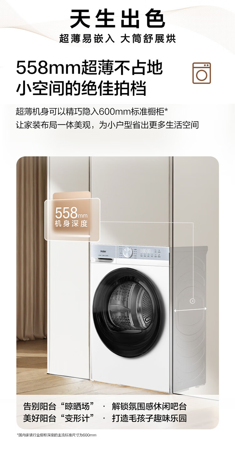 Сушильная машина Haier GA100-25DW ледяной белый