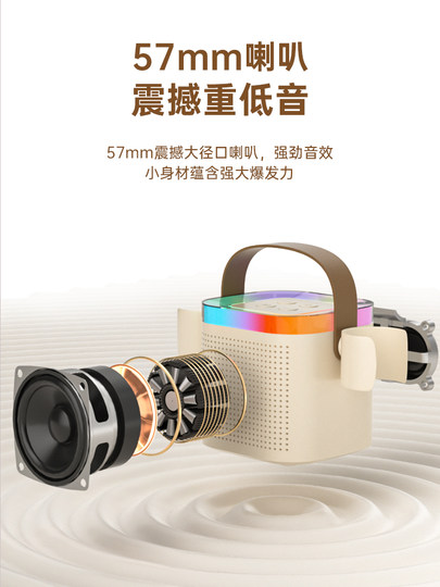 TANALAZ Tanula K8 Mikrofon Audio Integriertes Mikrofon Heim Karaoke Bluetooth Lautsprecher Liedtexte Anzeige Geschenk