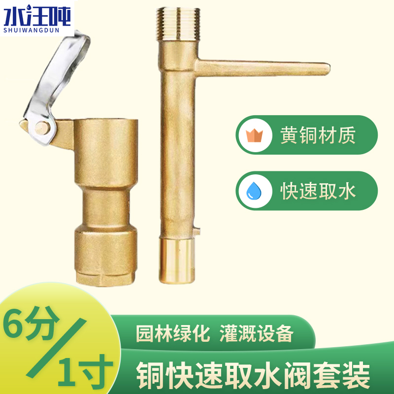 Brass 6-Point 1-Inch Quick Water Tap for Garden, Construction Site, Lawn, and Landscaping Water Supply, Pure Copper Dn2025