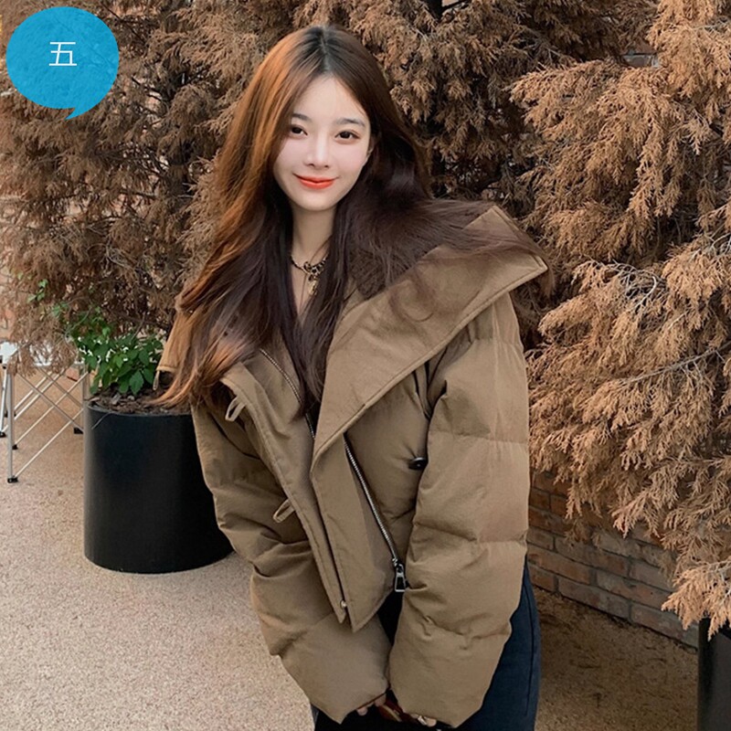 Korean Style New Versatile down Jacket for Women, Winter Simple Design, Thickened Warm Puffer Jacket, Short Coat Korean Style New Versatile down Jacket for Women, Winter Simple Design, Thickened Warm Puffer Jacket, Short Coat