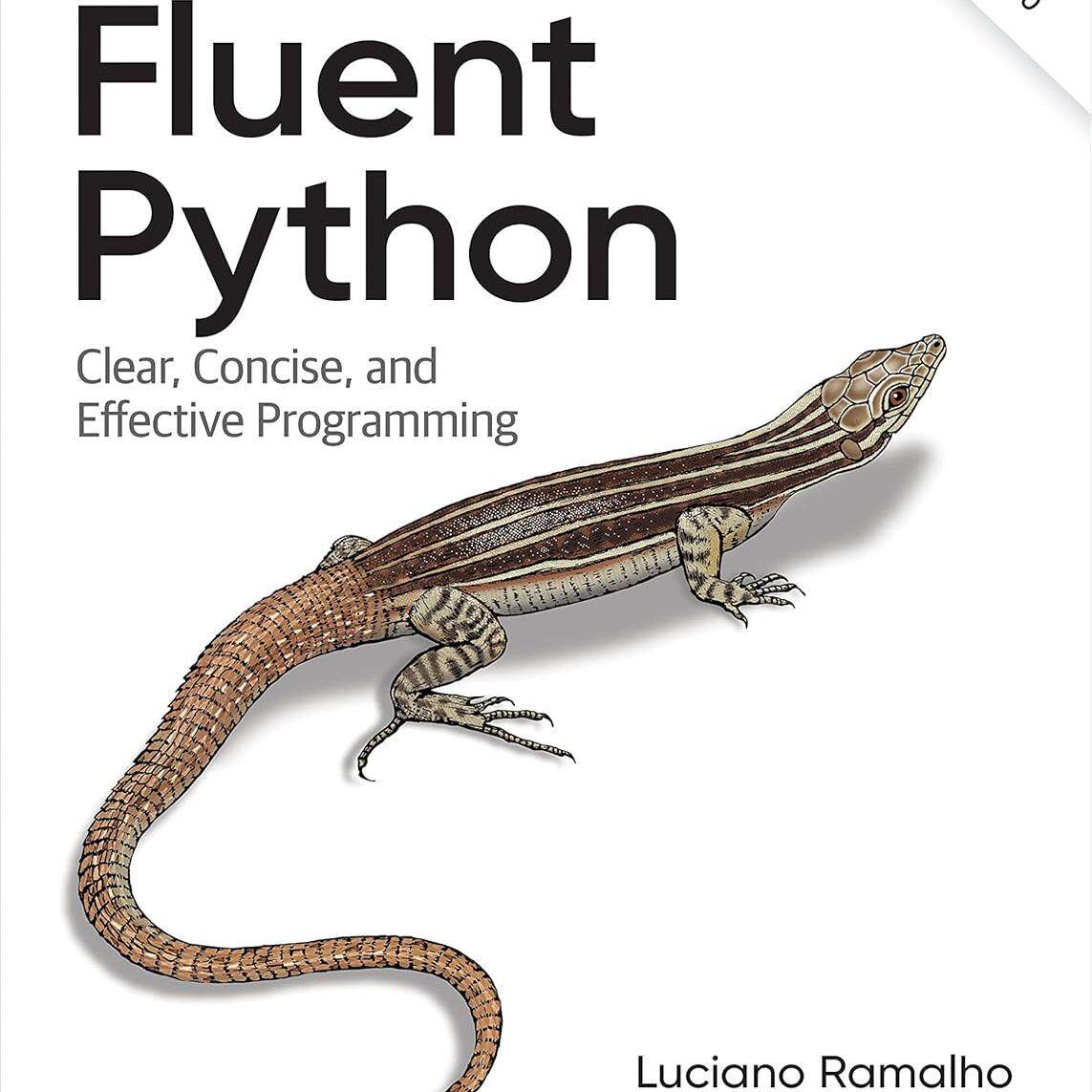 Fluent Python: Clear, Concise, and Effective Programming 2nd Edition-Taobao