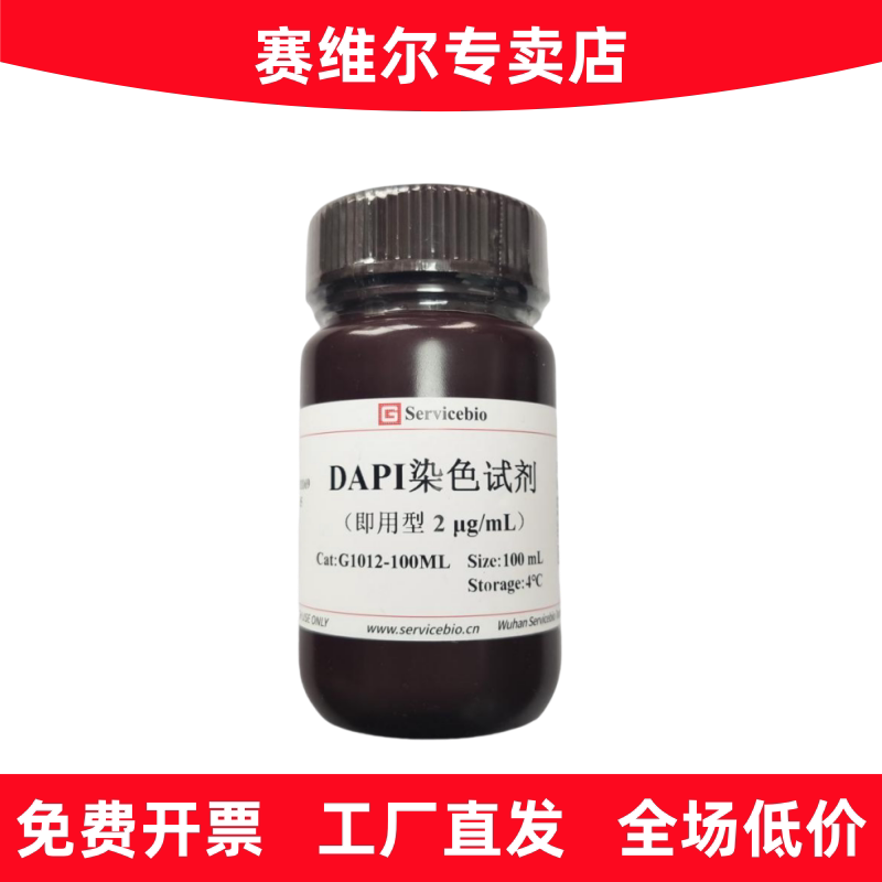 赛维尔 G1012-100ML DAPI染色试剂（即用型）