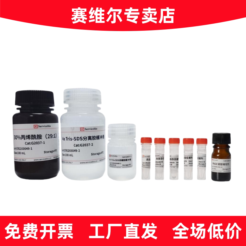 赛维尔 G2037-50T SDS-PAGE 凝胶快速制备试剂盒