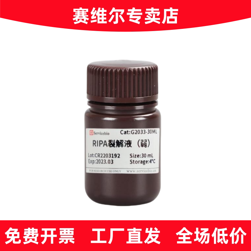 赛维尔 G2033-30ML RIPA裂解液（弱）