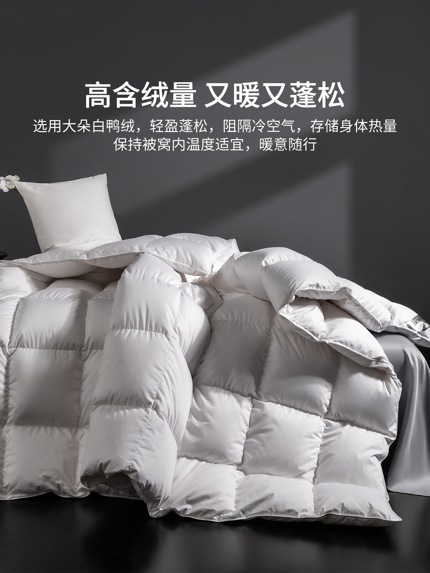 Lalpina down Quilt Winter Quilt Thickened Warm Quilt Winter White Duck down Quilt Hotel Spring and Autumn Quilt Quilt Core Winter