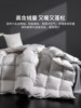 Lalpina down Quilt Winter Quilt Thickened Warm Quilt Winter White Duck down Quilt Hotel Spring and Autumn Quilt Quilt Core Winter