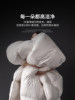 Lalpina down Quilt Winter Quilt Thickened Warm Quilt Winter White Duck down Quilt Hotel Spring and Autumn Quilt Quilt Core Winter