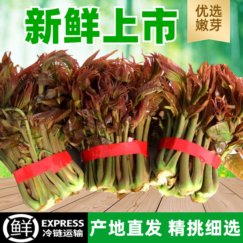 香椿芽新鲜嫩芽采摘现摘现发露天红油野生红叶叶菜头茬包邮椿芽！春日限定美味，错过等一年！-香椿芽-淘宝好物网
