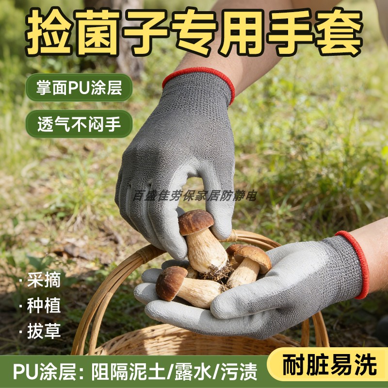 Special anti-slip coated palm for picking up mushrooms and farming